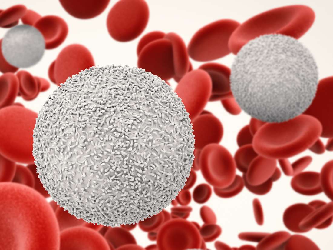 Lymphocytes Levels, ranges, and functions