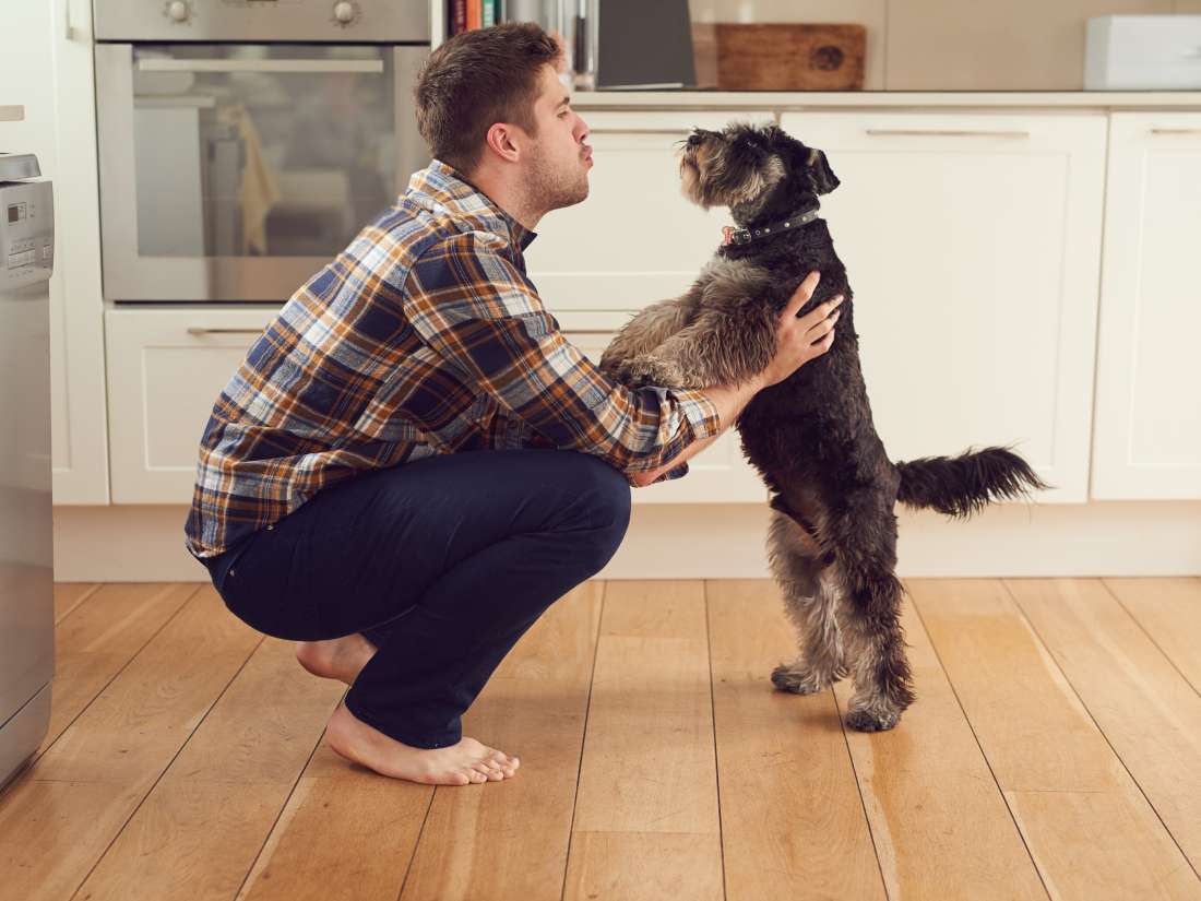 why-you-should-talk-to-your-dog