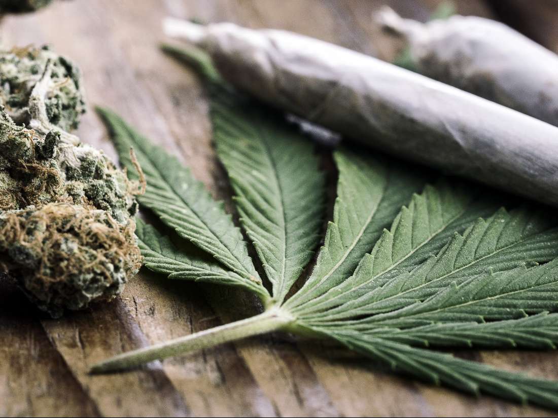 Survey Reveals Skyrocketing Interest in Marijuana and Cannabinoids for Pain