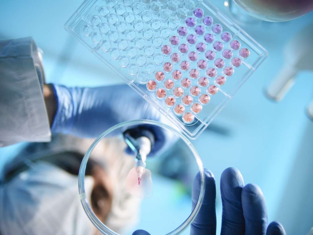 Colorectal Cancer Treatment Looks Set For Human Clinical Trials