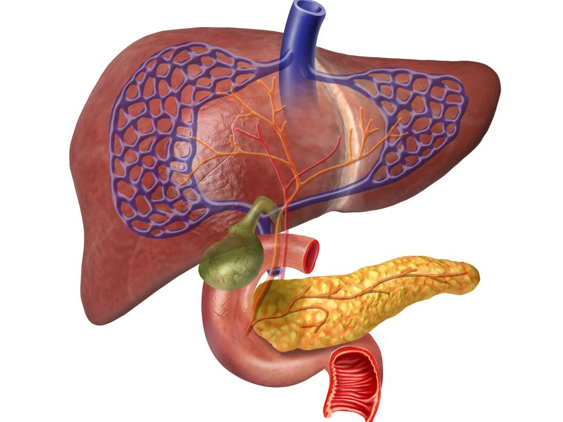 Sphincter Of Oddi Dysfunction: Symptoms, Diet, And Relief