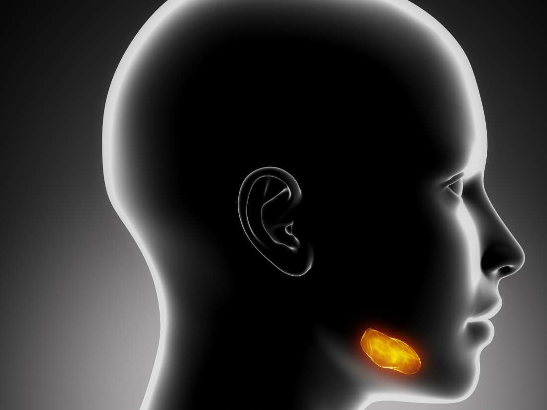 Salivary Gland Infections Causes Types Symptoms And Treatment