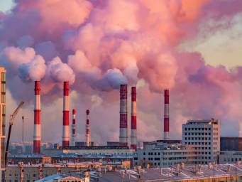 Exploring how pollution might impact the brain