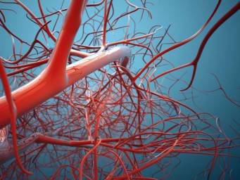 Higher iron levels may protect arteries but raise clot risk