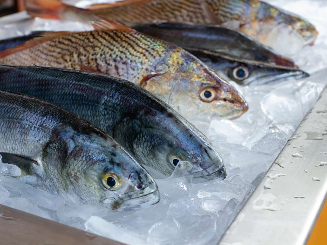 Why fish may become more toxic than ever