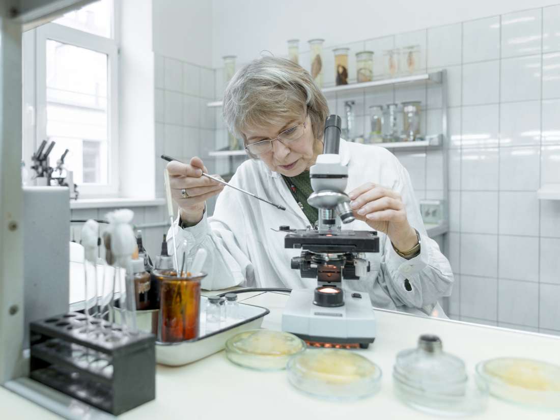 Harmful hospital bacteria evolved 'in response to modern diets'
