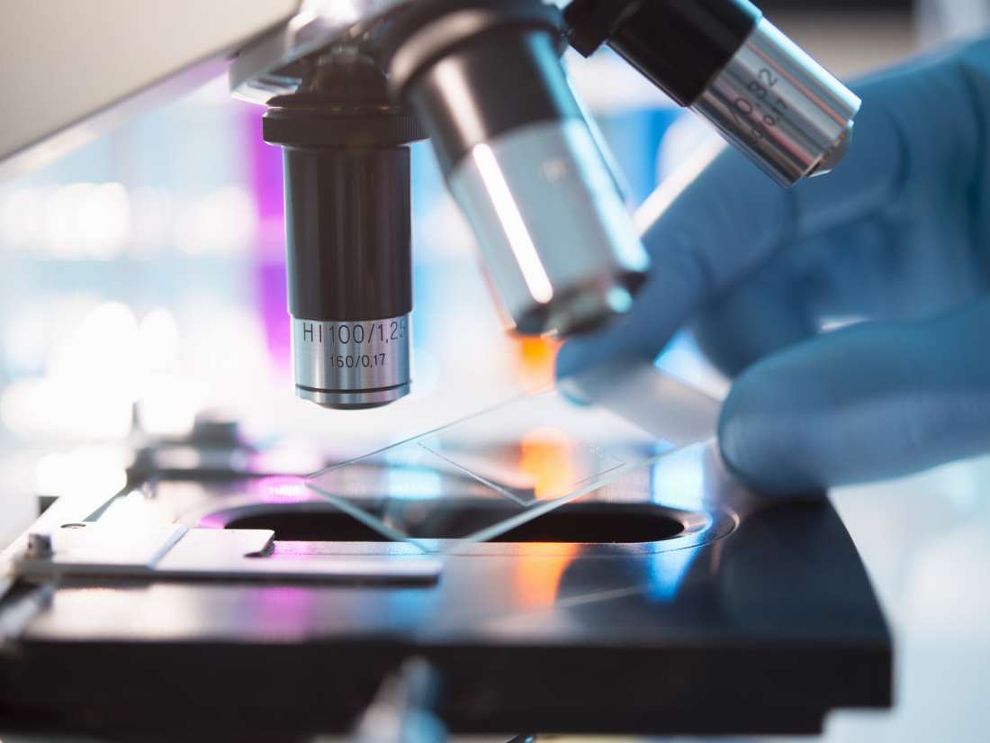 Could gut microbes be the key to overcoming muscle loss in older age?