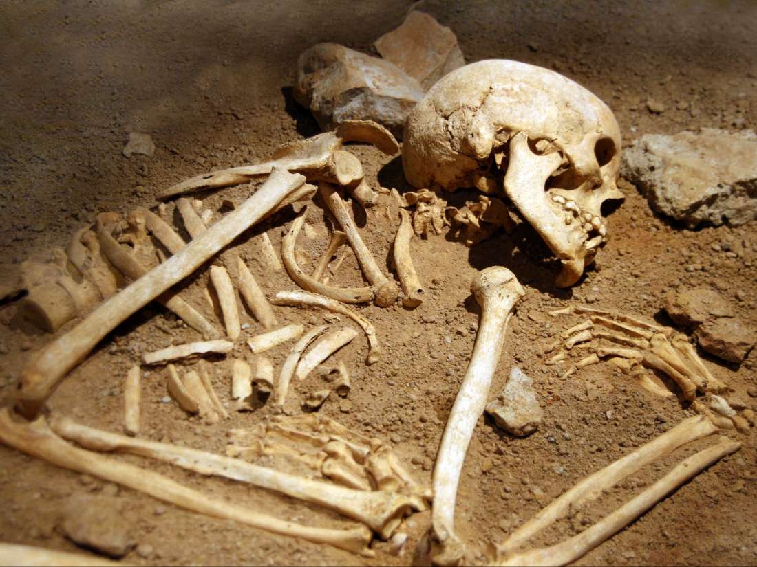 Human bodies can move on their own after death, study finds