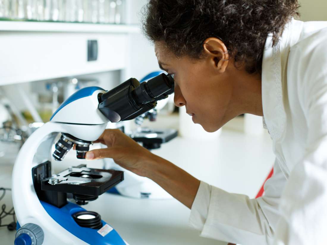Atherosclerosis: Scientists identify new protein target in immune cells