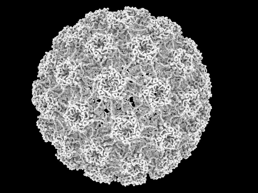 how-a-virus-might-protect-against-skin-cancer