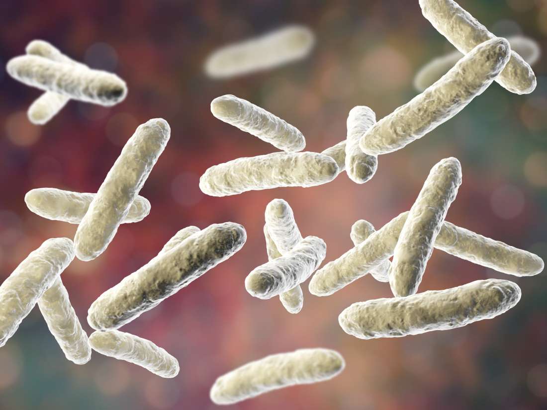 Even 'dead,' this probiotic may be effective against inflammation