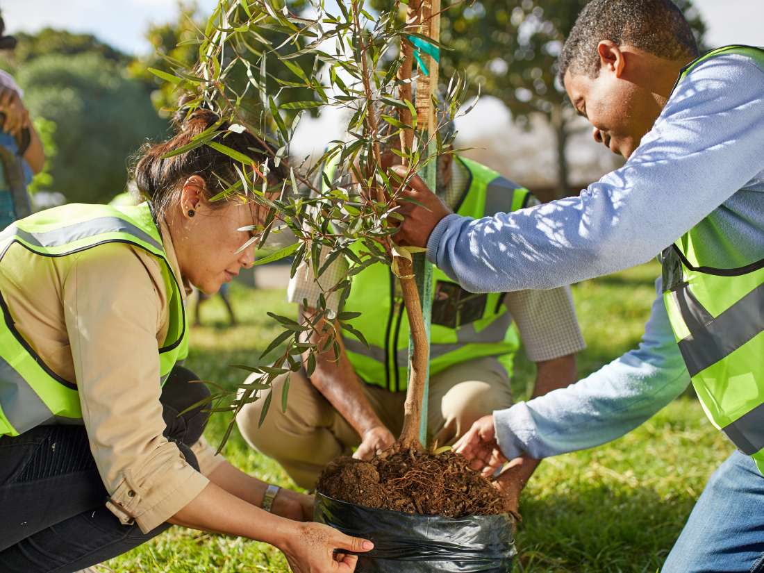 What to know about eco-anxiety